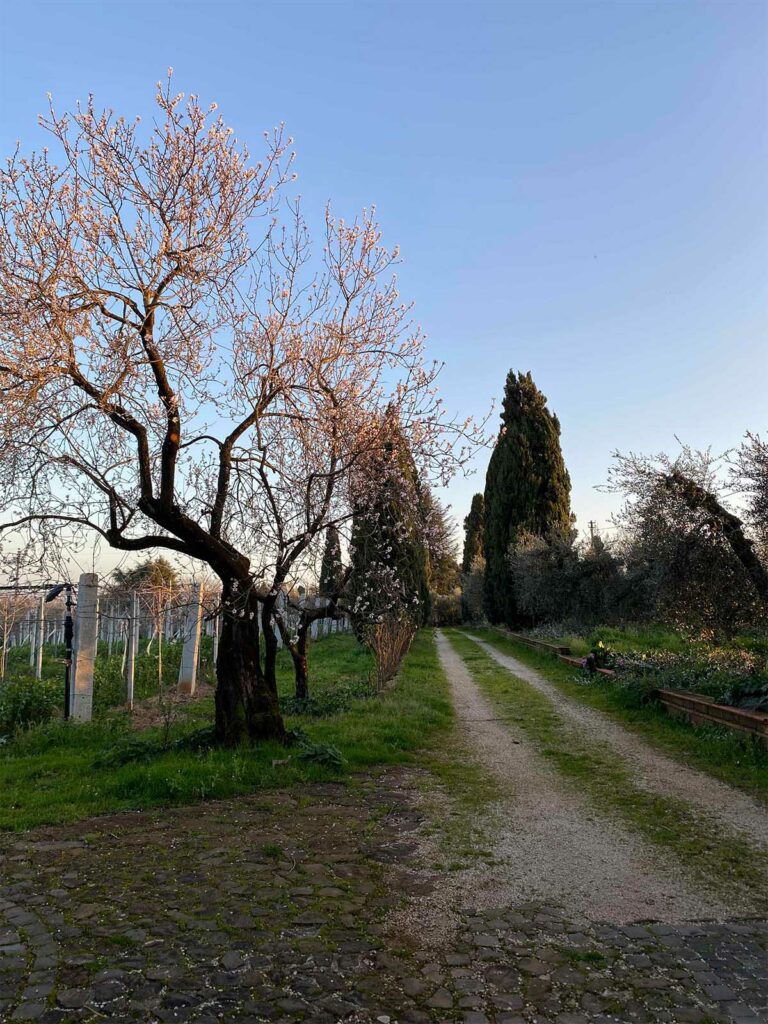 slider__0000_IMG_6128