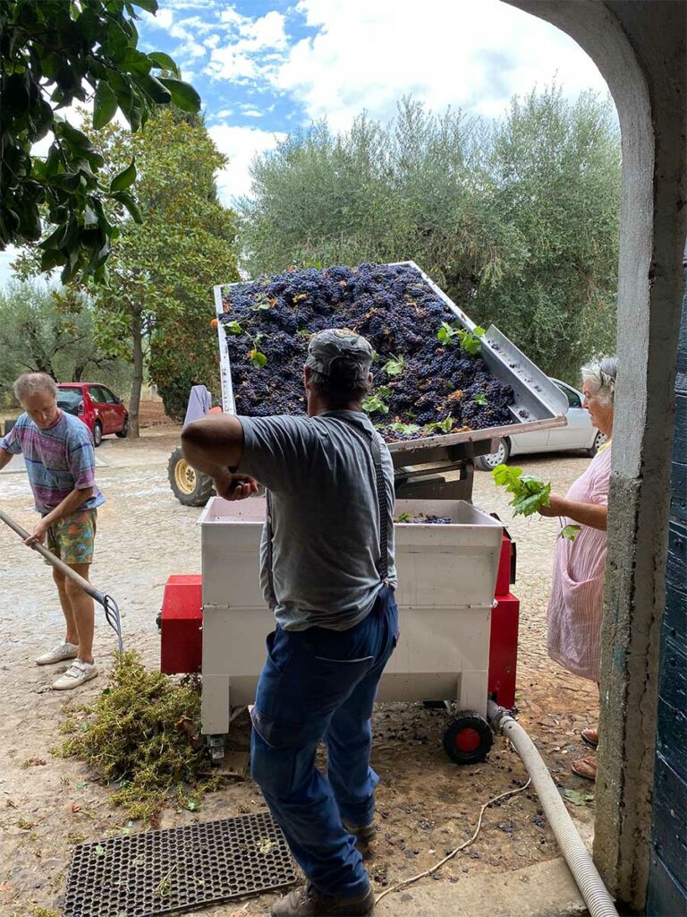 slider__0001_IMG-20251020-WA0008