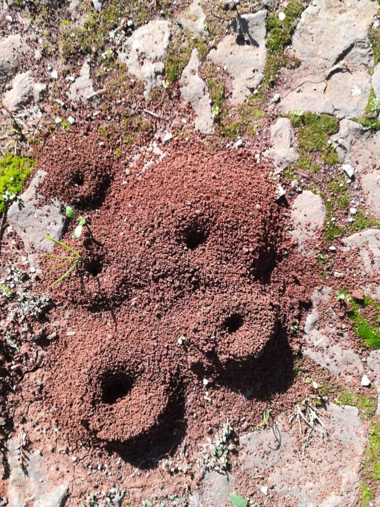 slider__0001_IMG_5589