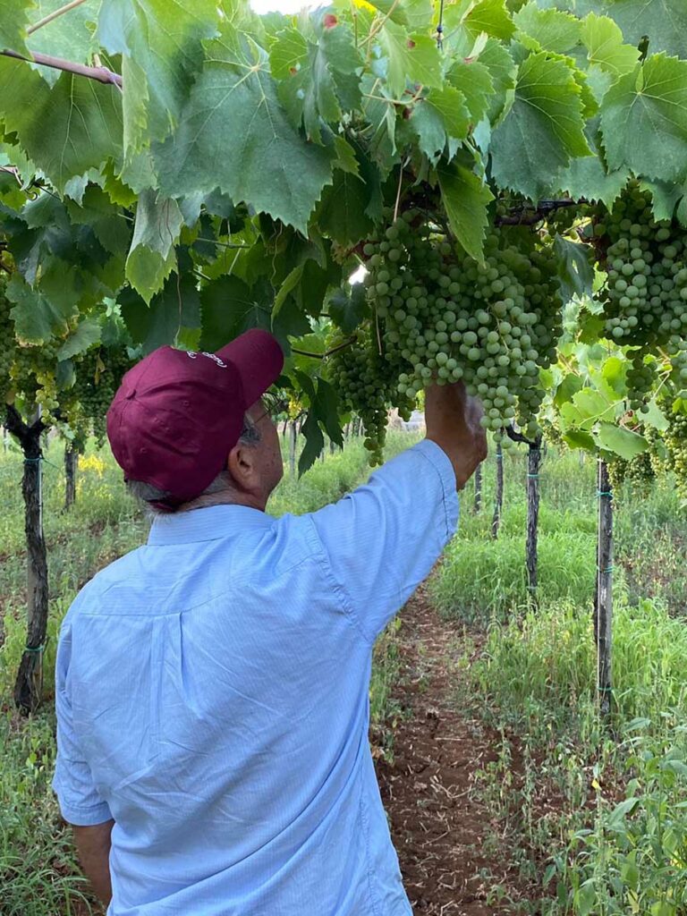 slider__0002_IMG-20251020-WA0007