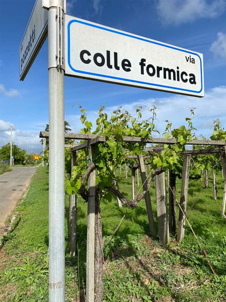 slider__0003_IMG-20251020-WA0006