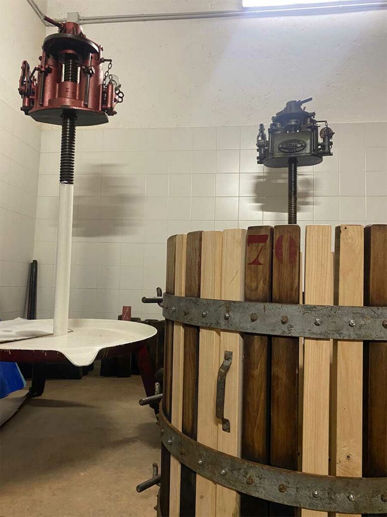 slider__0005_IMG-20251020-WA0023