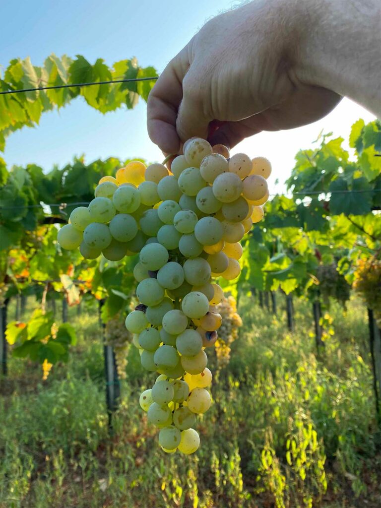 slider__0005_IMG_8707