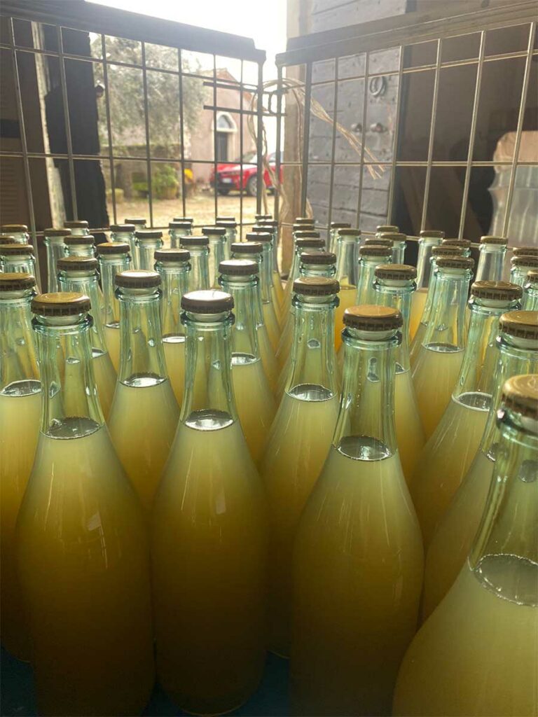 slider__0007_IMG-20251020-WA0021