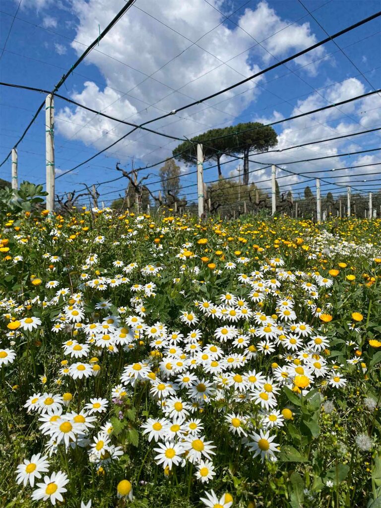 slider__0009_IMG_7059