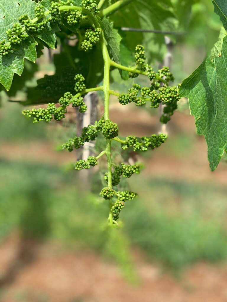 slider__0010_Background