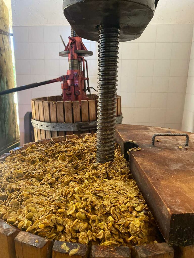 slider__0010_IMG-20251020-WA0017