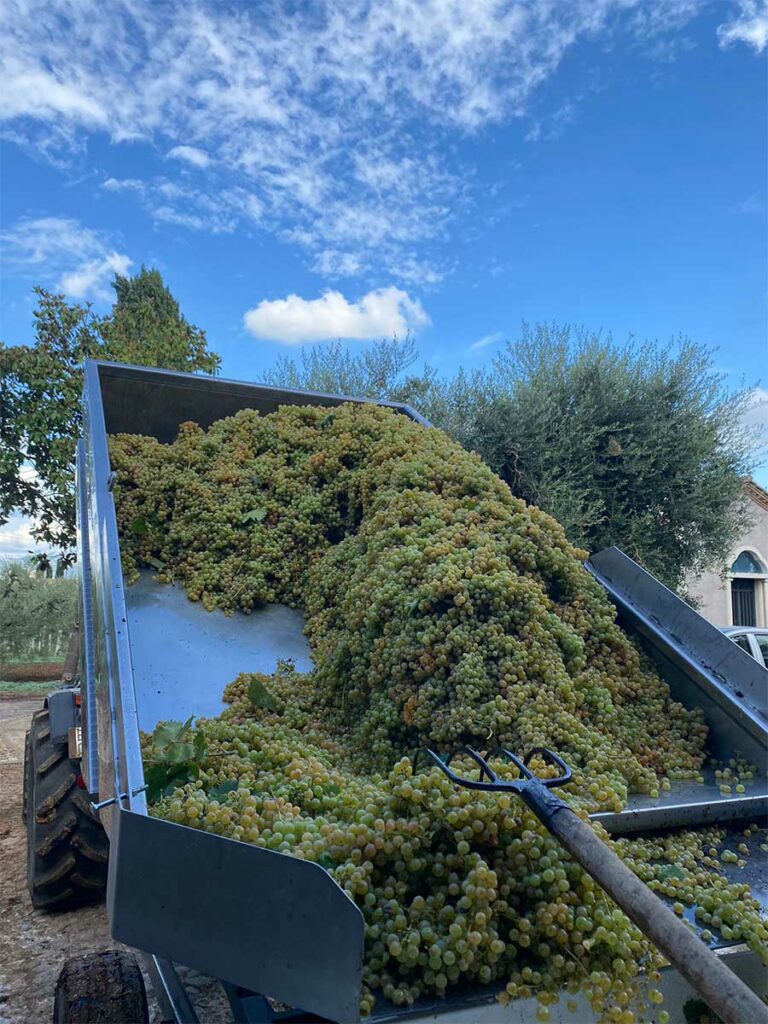 slider__0012_IMG-20251020-WA0015