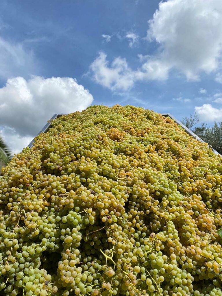 slider__0013_IMG-20251020-WA0014