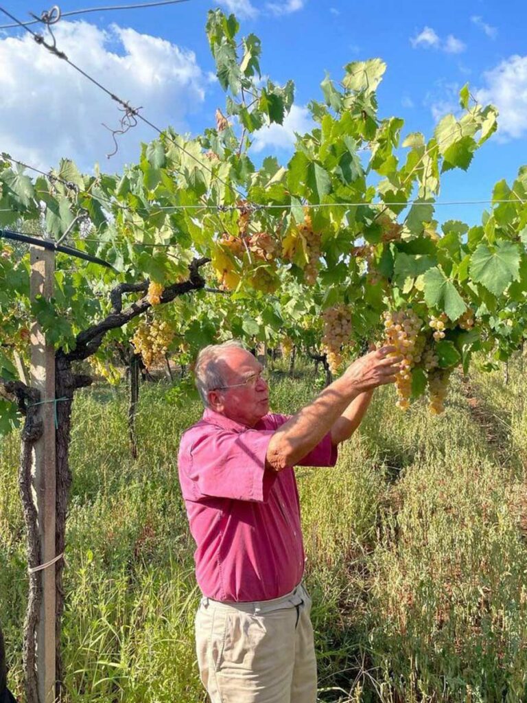 slider__0014_IMG-20251020-WA0013