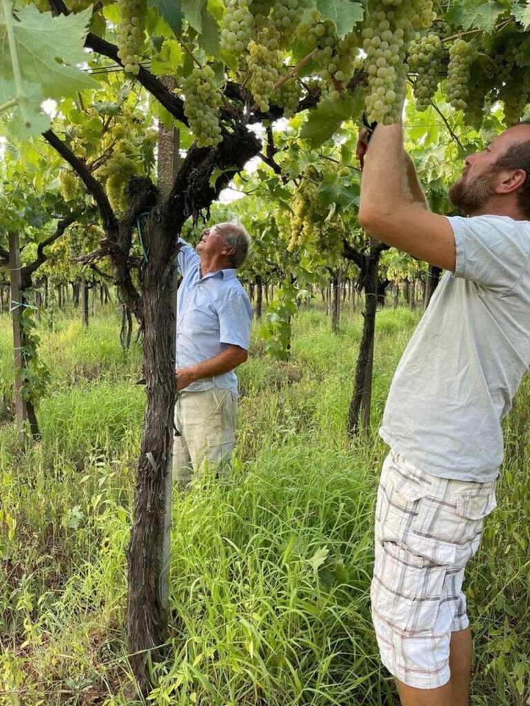 slider__0016_IMG-20251020-WA0011