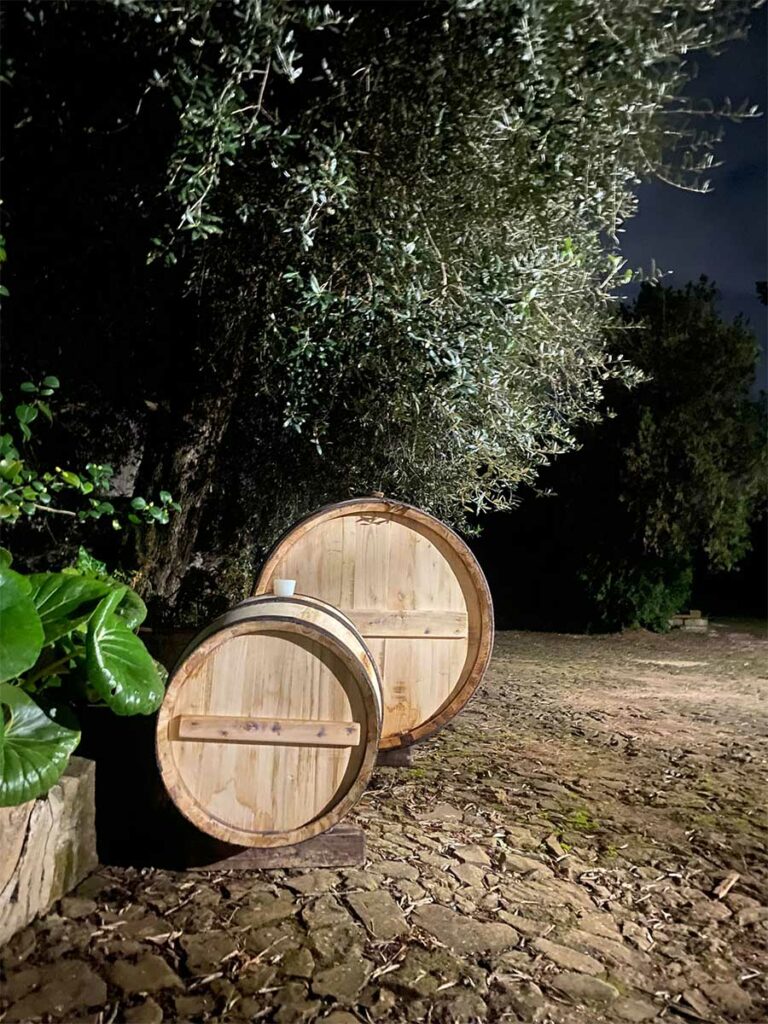 slider__0018_Background copy